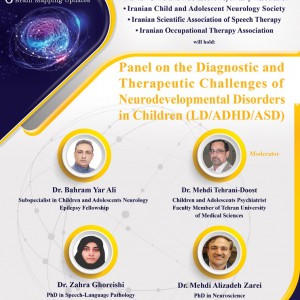 Panel on the Diagnostic and Therapeutic Challenges of Neurodevelopmental Disorders in Children (LD/ADHD/ASD)